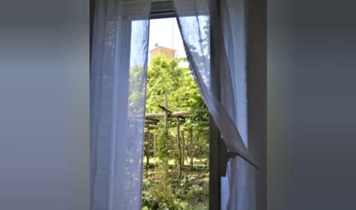 A Casa Di Pissi - Apartment 拉维罗 外观 照片